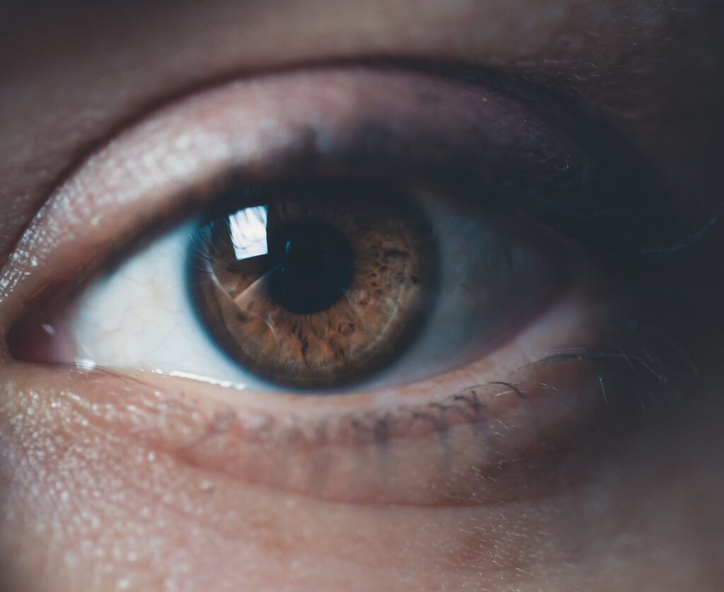 photographie en gros plan d'un oeil à l'iris marron