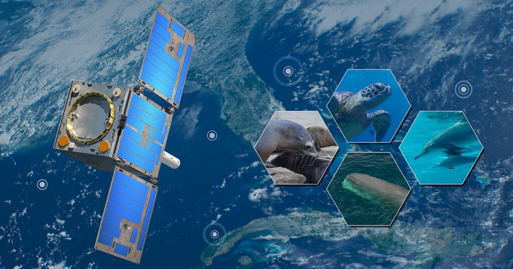 Satellite Gazelle en orbite recueillant des données sur les océans