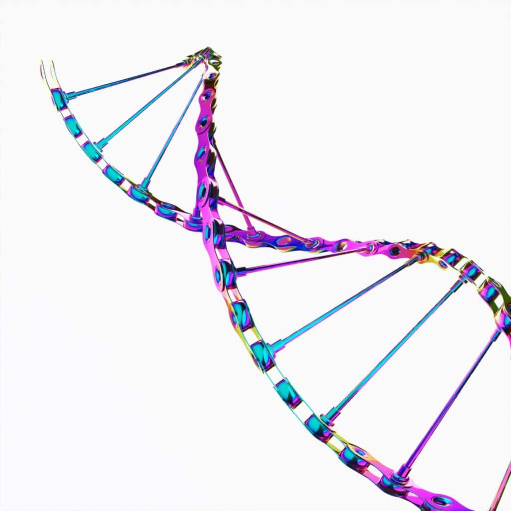 Représentation 3D ADN mécanique