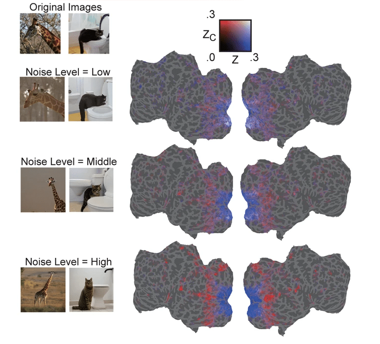 Schéma de lien entre la cohésion des neurones et la qualité de l'image reconstruite